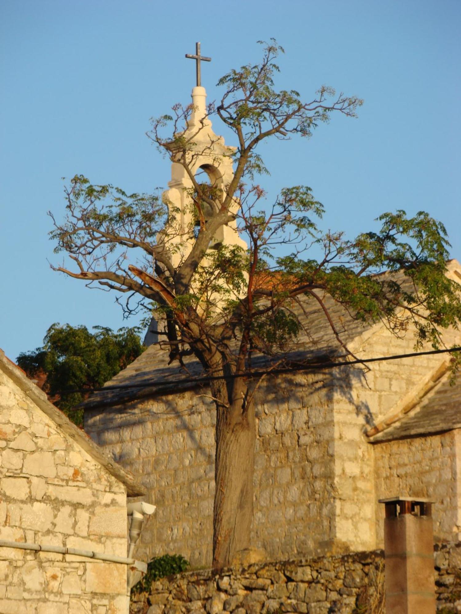 Villas Oleandri Vrboska Esterno foto